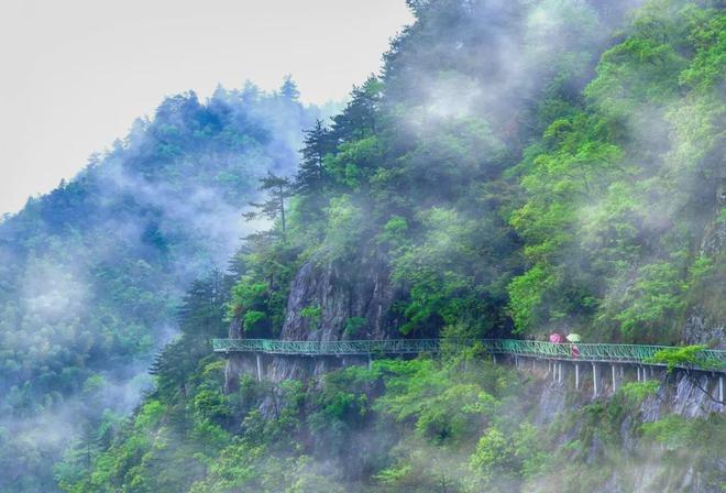 山居)网站-楼盘详情-磐安房天下麻将胡了玉岑山居(2024年玉岑(图14)