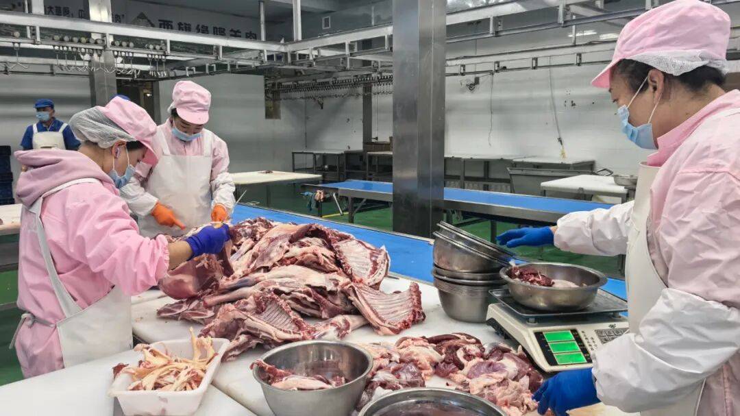 火锅 新巴尔虎右旗“呼伦明珠”激活发展新