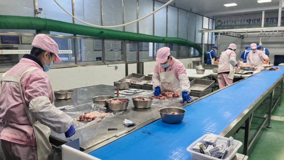 火锅 新巴尔虎右旗“呼伦明珠”激活发展新引擎PG麻将胡了2试玩直播间里卖羊肉 体验店里涮(图2)