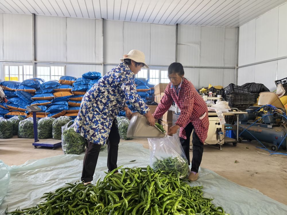 精神在基层 “三股绳”拧成一道力PG电子
