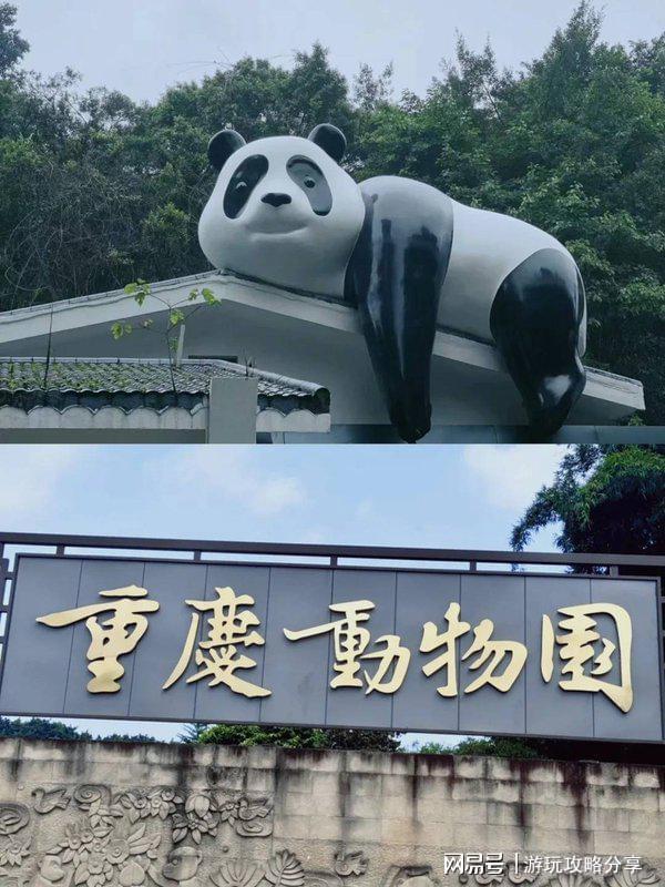 重庆四日游攻略及费用看完这篇游记全明PG麻将胡了什么时候去重庆最合适(图2)